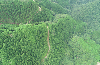 スマート林業への転換